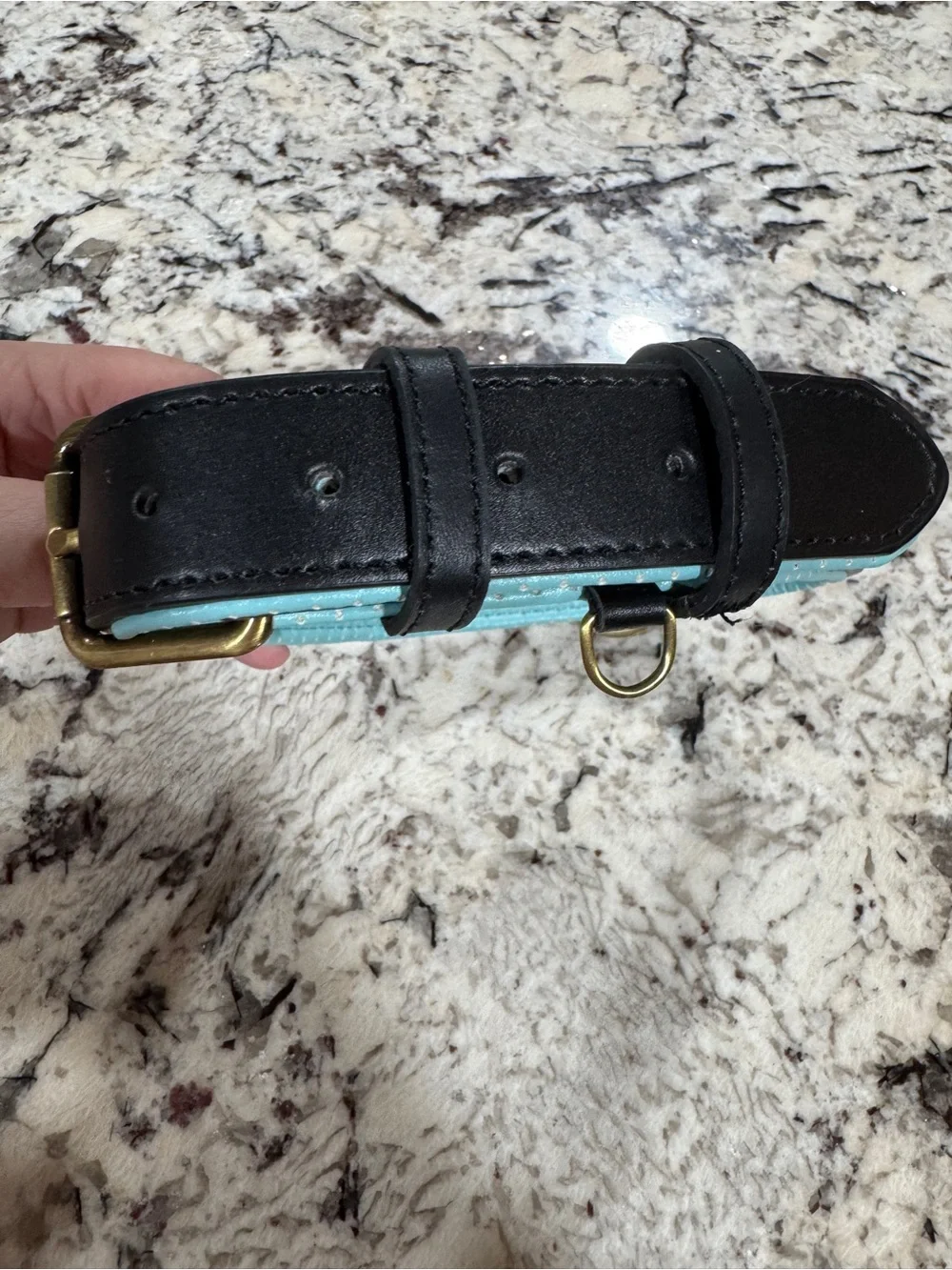 Black Genuine Leather XL Dog Collar with Rust Proof Hardware
